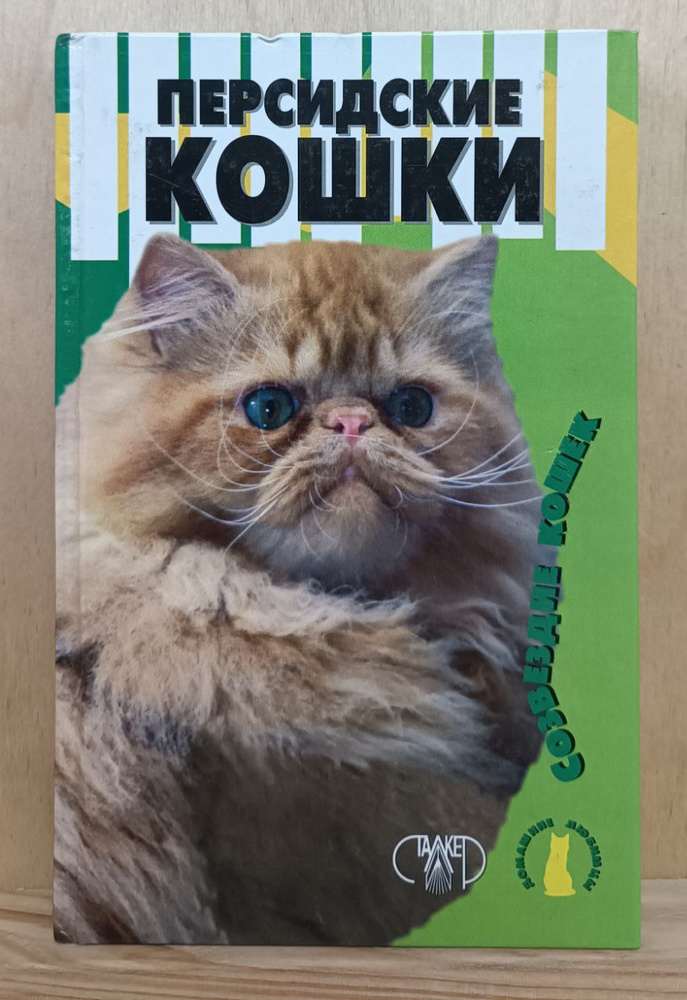 Персидские кошки #1