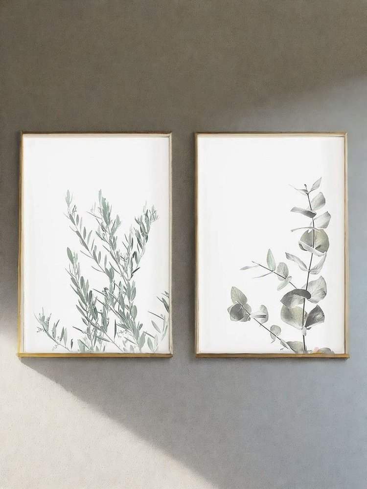 постеры на стену "Ботаника Дуо", 40х50см #1