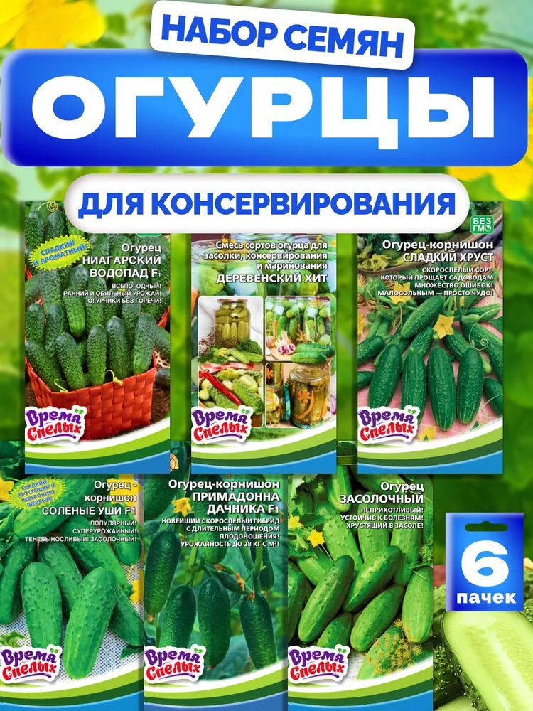 Семена огурцов для консервации #1