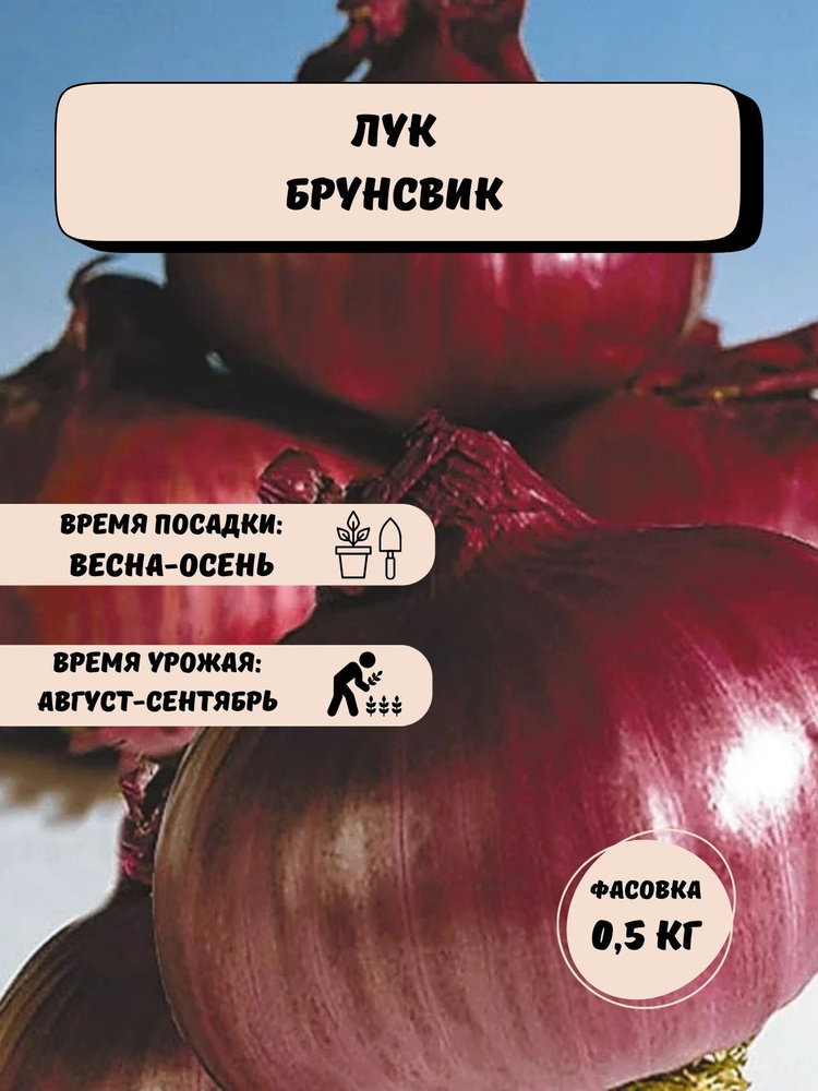 Лук репчатый (красный) Брунсвик 0,5 кг на посадку #1