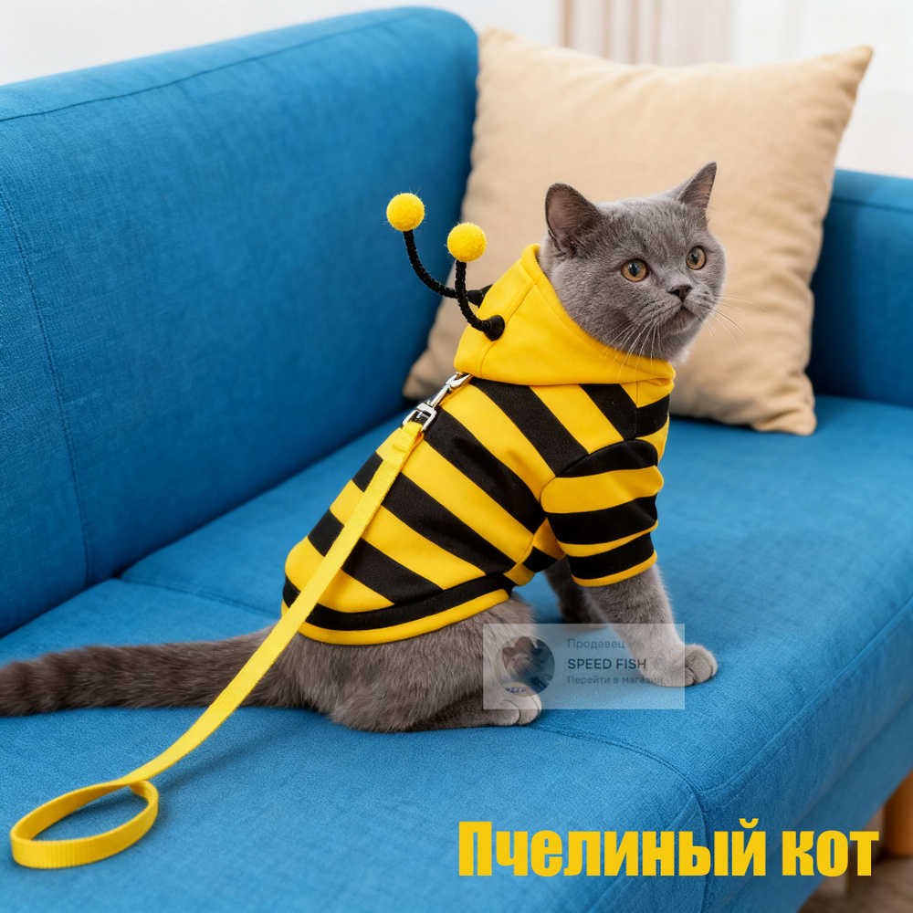 Одежда для животных #1