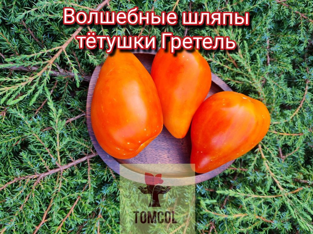 Семена #1