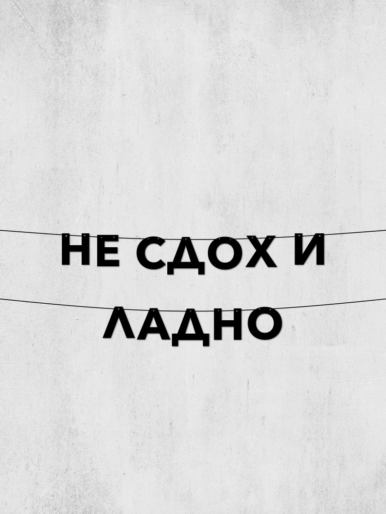 Clova Гирлянда из букв Не сдох и ладно - Стильный декор для праздников, фотосессий и интерьера, долговечный #1