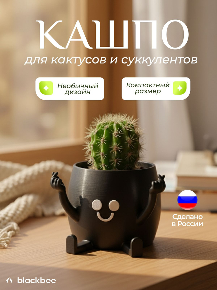 Горшок для цветов кактусов и суккулентов #1