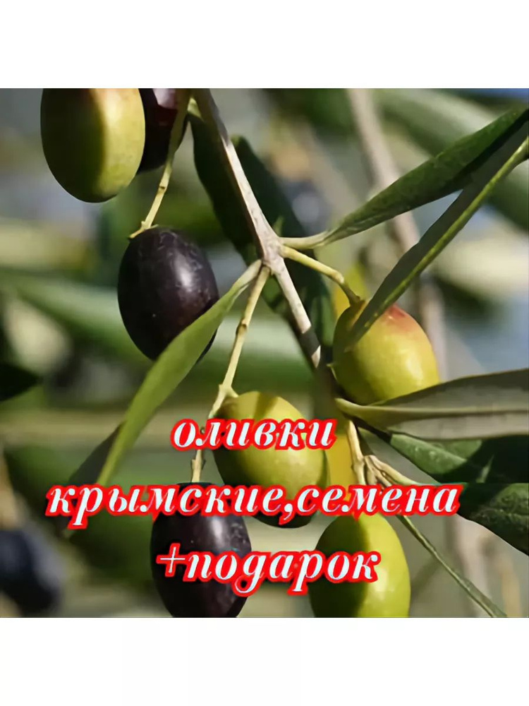 Семена ,2шт #1