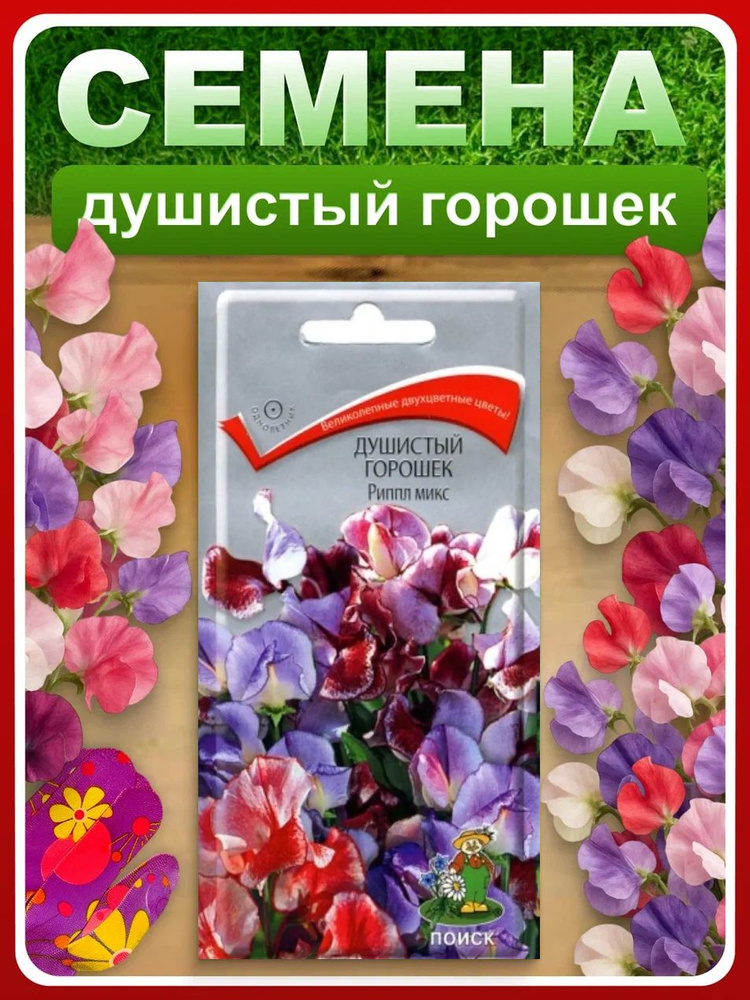 Семена Душистый горошек "Риппл Микс" 0,5 гр, однолетние цветы для дачи и огорода, клумбы, в открытый #1