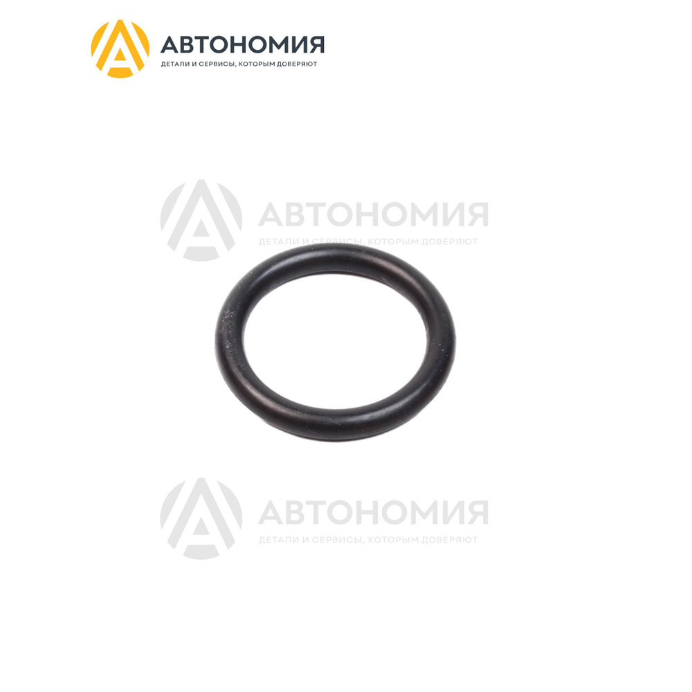 Кольцо уплотнительное Chrysler (Mopar) 68480092AA #1