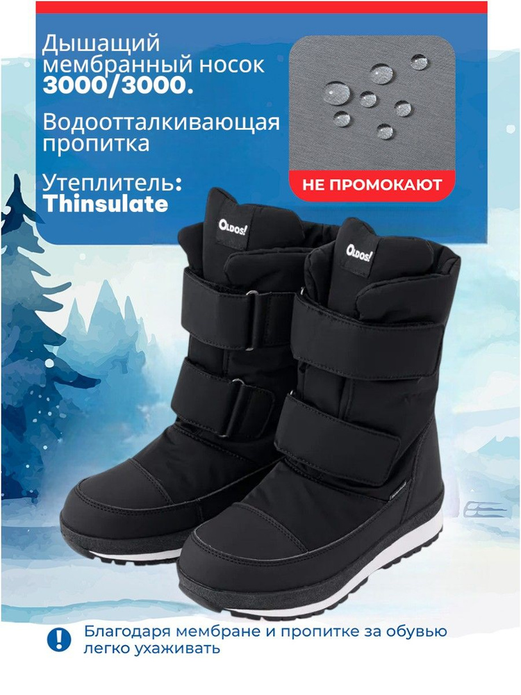 Сапоги Oldos Мона #1