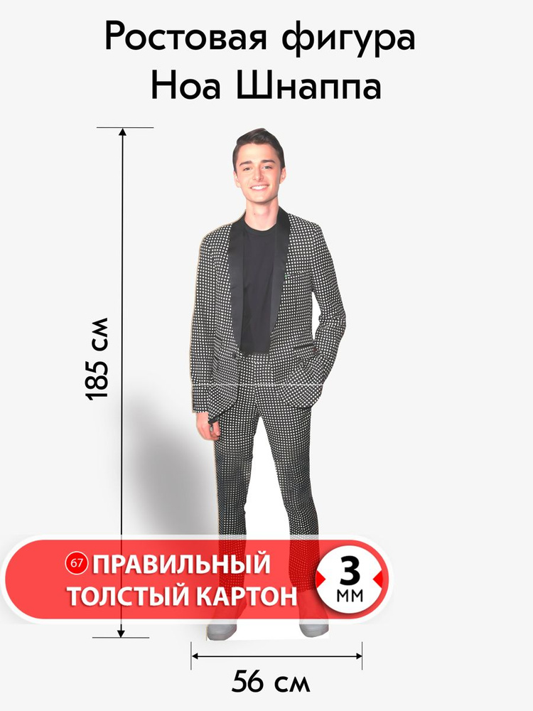 Ноа Шнапп ростовая фигура 1 #1