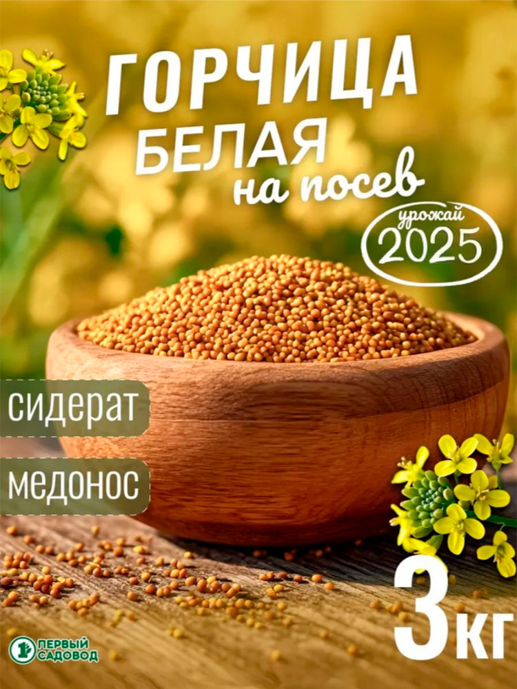 Горчица на посадку 3 кг сидерат на посев #1