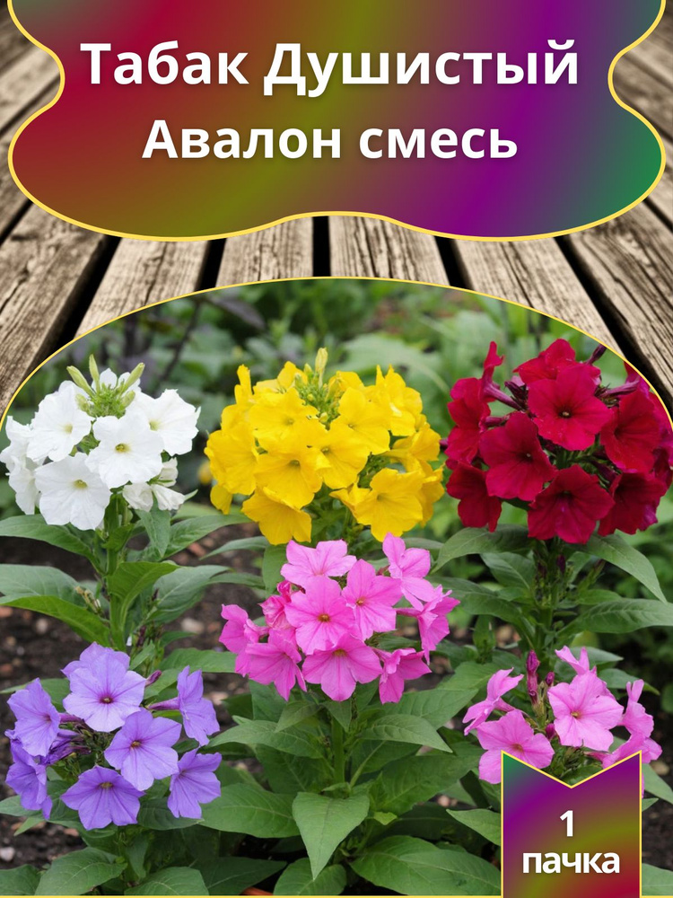 Табак душистый Авалон смесь, семена 10 шт. #1