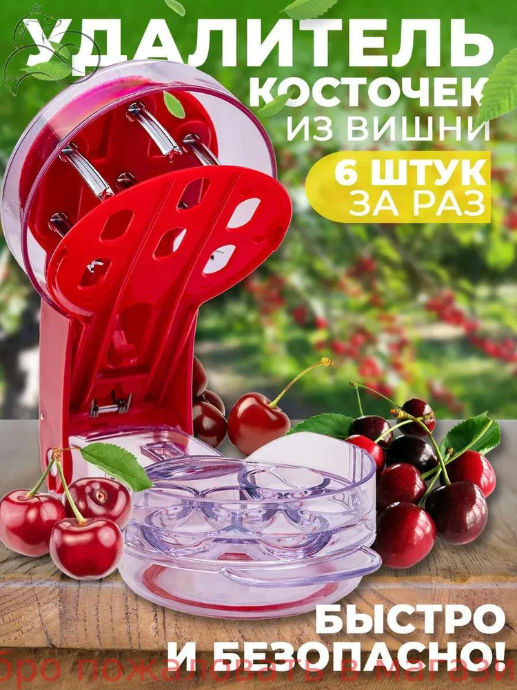 Прибор для удаления косточек из вишни и черешни, оливок и маслин, с контейнером #1