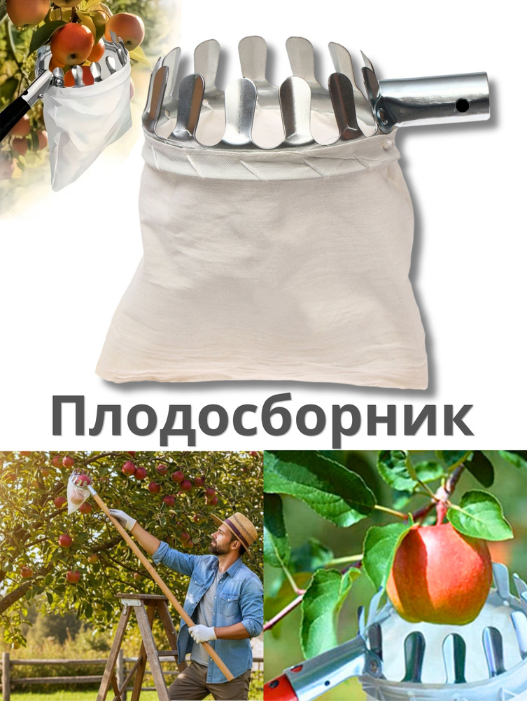 Плодосъёмник #1