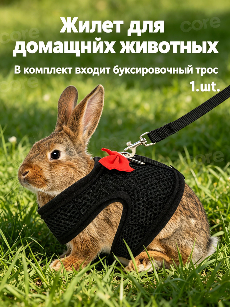 Черная шлейка из сетки с поводком для кроликов и морских свинок, для выгула и прогулок #1