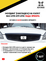 Шевроле АВЕО Т250 решётка капота t-250 (под крест с эмблемой) 96648529-GM - 3912 грн