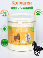 Подкормка для суставов, Коллаген для лошадей всех возрастов Happy Zooooo