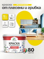 Влагостойкая краска от плесени и грибка Malare Professional акриловая для кухни, ванной комнаты, для сырых помещений, быстросохнущая без запаха, весенний адонис, (9л - 13кг)
