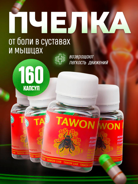 Pilotca порно көру