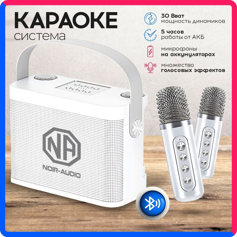 Купить по выгодной цене Караоке система NOIR-audio K-5 с двумя беспроводными микрофонами, с функцией Bluetooth и USB разъемом с доставкой