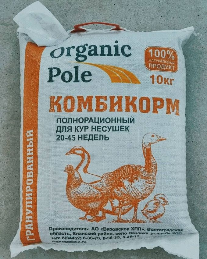 Наш гранулированный комбикорм Organic Pole для кур несушек - это идеальное решение для обеспечения вашей птицы всеми необходимыми питательными веществами. Специально разработанный состав комбикорма обеспечивает полноценное питание кур несушек, учитывая их особенности и потребности.Комбикорм Organic Pole содержит в себе все необходимые витамины и минералы, которые помогут вашим курам несушкам оставаться здоровыми и активными. Благодаря правильно сбалансированному составу комбикорма, птица будет чувствовать себя отлично и радовать вас своими яйцами высокого качества.Выбирая комбикорм Organic Pole для кур несушек, вы делаете правильный выбор в пользу здоровья вашей птицы. Удобная упаковка позволяет хранить комбикорм в сухом месте и сохранять его свежесть и питательные свойства.Обеспечьте вашей птице здоровое и полноценное питание с комбикормом Organic Pole . Пусть ваша птица радует вас отличным самочувствием и высокими результатами!