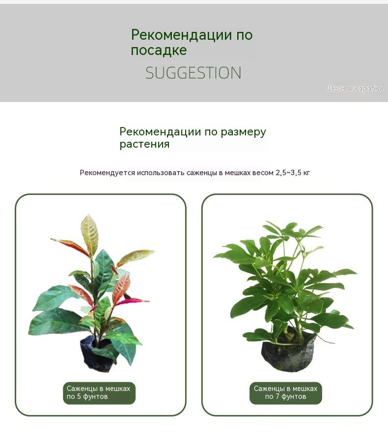 14 X 33 X 18 5 1 14-x-33-x-18-5-1