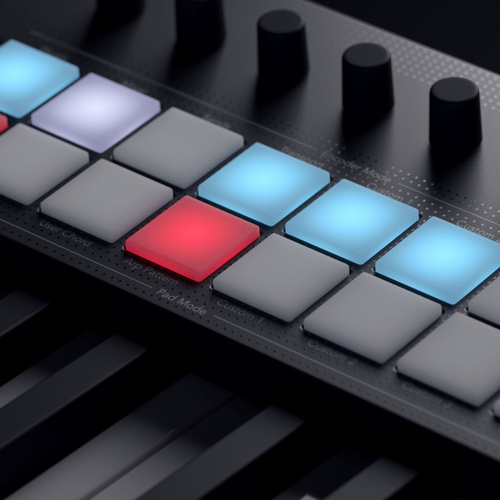 Midi-клавиатура Novation Launchkey 49 MK4 купить на OZON по низкой