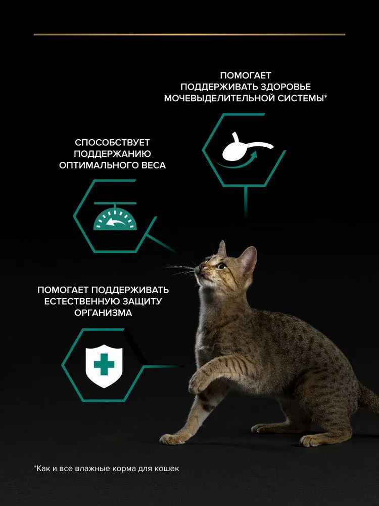 Влажный корм PRO PLAN Sterilised Maintenance для взрослых стерилизованных кошек и кастрированных котов, с океанической рыбой в соусе, 85 г x 26 шт, 85 г, 26 шт, фото 2