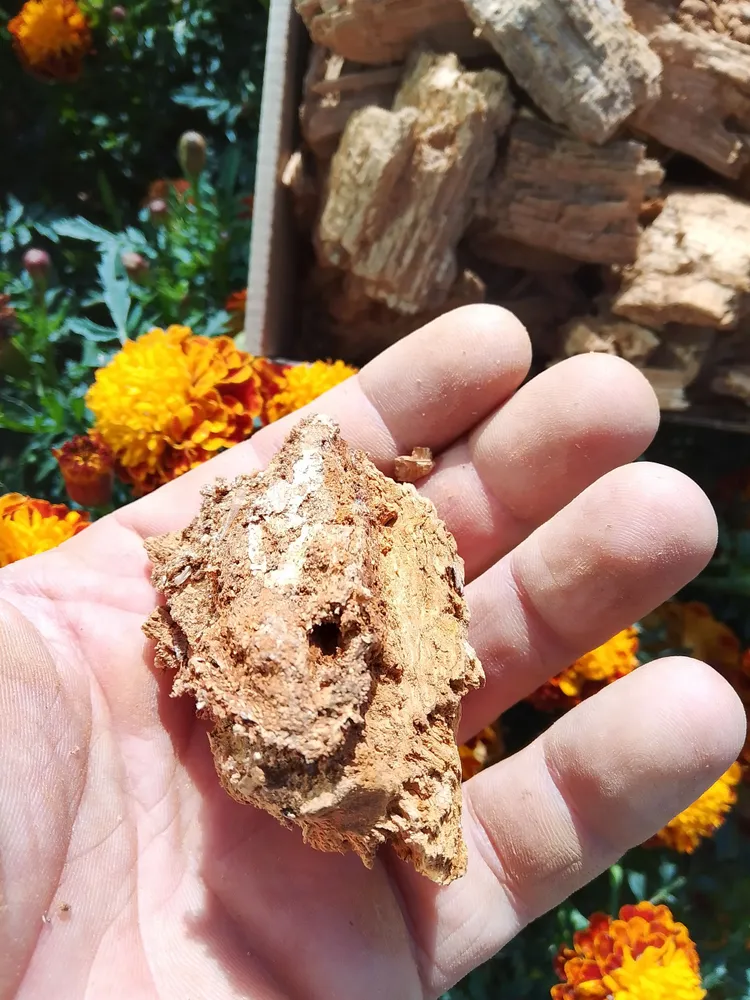 Труха Дубовая для кивсяков мокричек и улиток, вариант, фото 3
