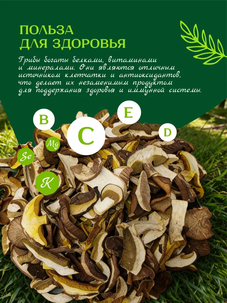 Сушеные лесные грибы микс 100 г, 100 г, фото 5