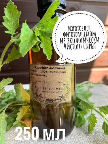 100% Гидролат Зюзника (Волкогона)
