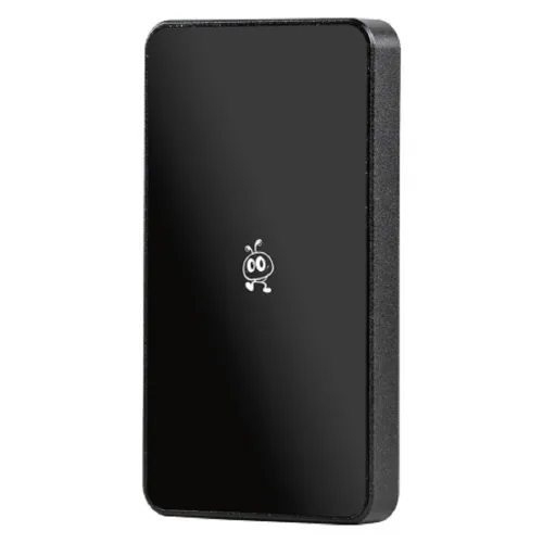 Внешний SSD диск, Portable 256GB P5 USB 3.2 black Smartbuy (SBD256P5BU3C)