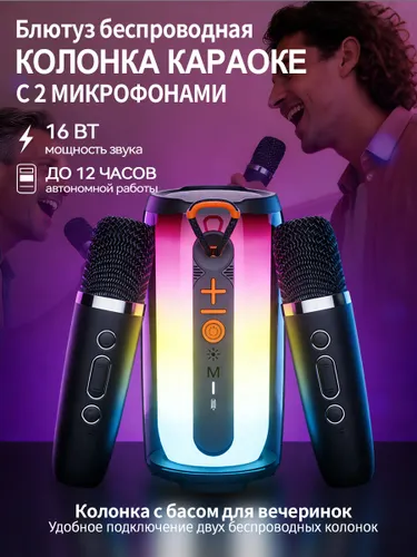 Беспроводная Bluetooth-колонка с двумя микрофонами, домашняя беспроводная караоке-система