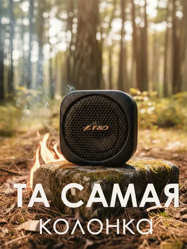 Музыкальная беспроводная BlueTooth колонка Fenda RW10