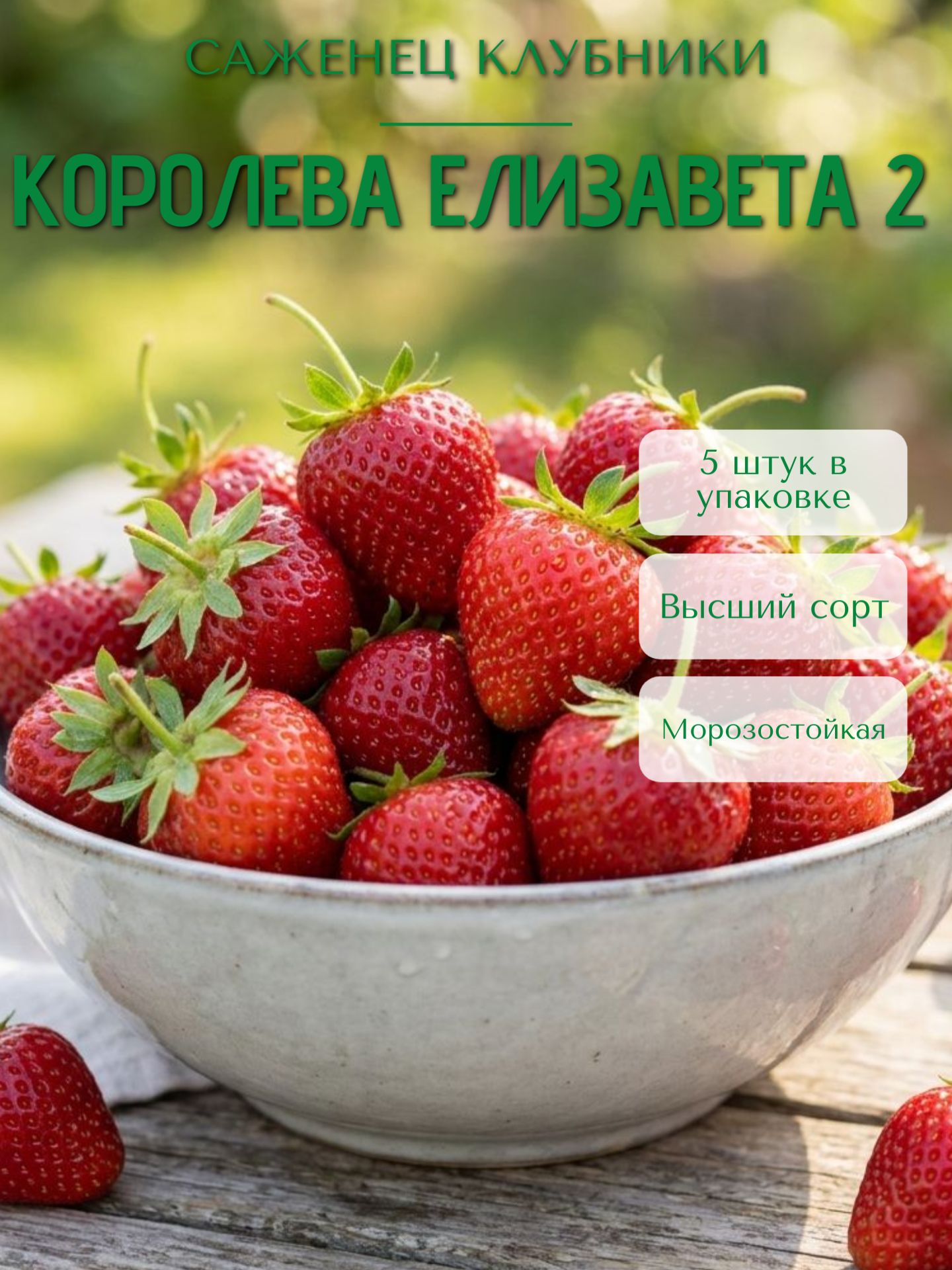 СаженецКлубникиКоролеваЕлизавета25шт.
