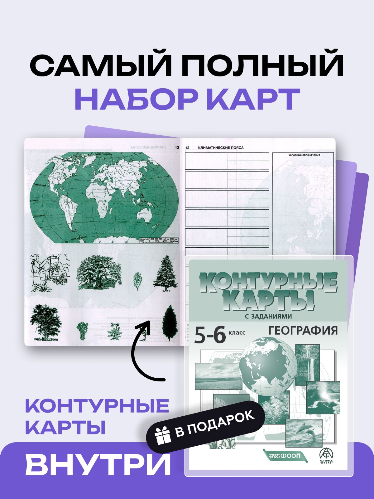 География 5-6 класс. Комплект атласов с контурными картами 2026 - 2027 года с новыми регионами РФ. ФГОС | Geography Atlas, Grade 6 - Ozon image 2