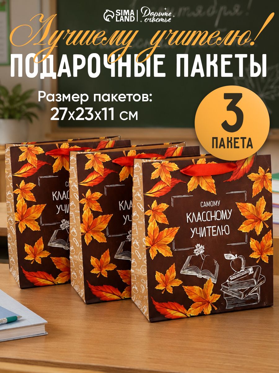 Пакеты подарочные учителю, набор 3 шт, 27 х 23 х 11 см
