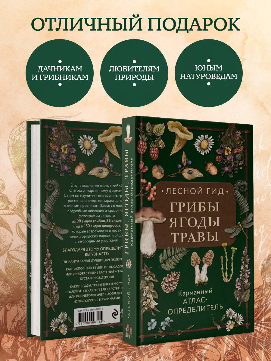 Лесной гид: грибы, ягоды, травы. Карманный атлас-определитель | Forest Guide: Mushrooms, Berries, Herbs. Pocket Identification Atlas - Ozon image 4