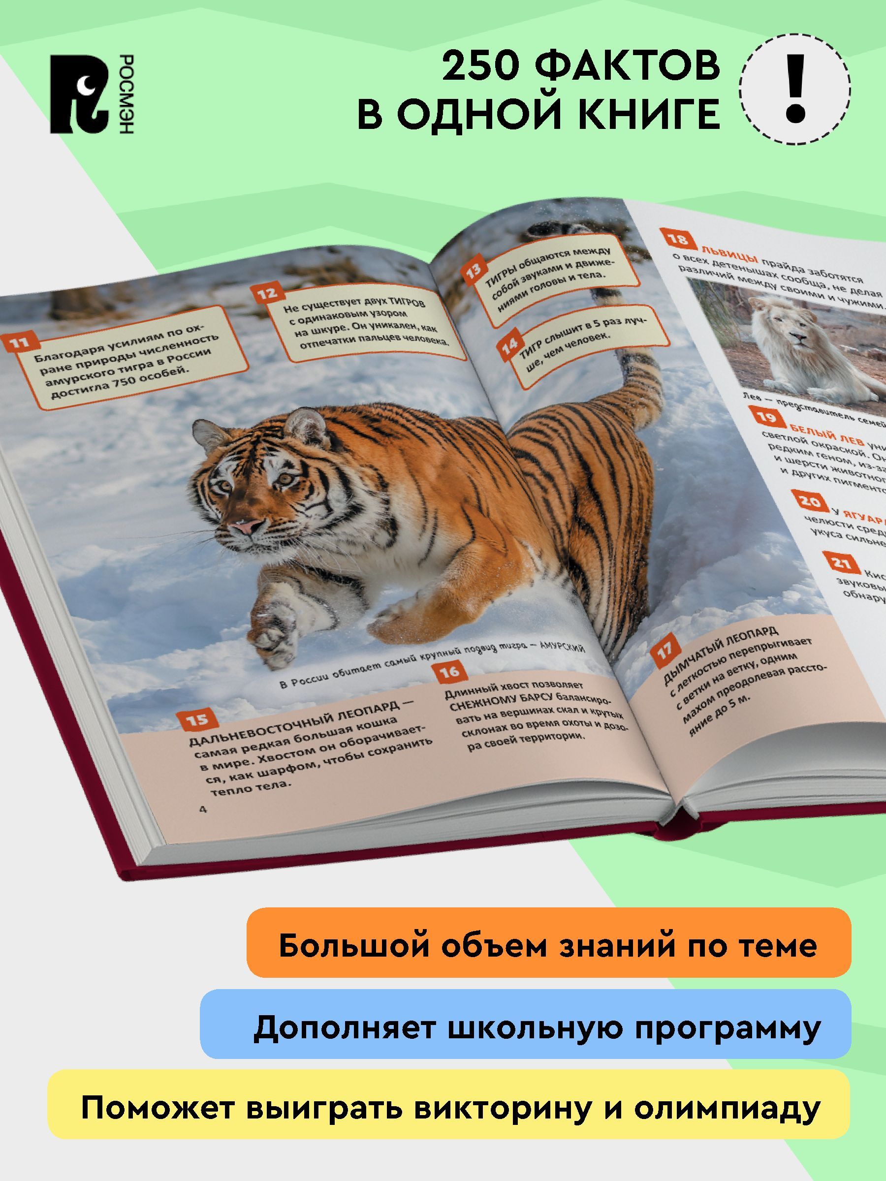 Красная книга. Энциклопедия российского школьника | Red Data Book. Encyclopedia of the Russian Schoolchild - Ozon image 2