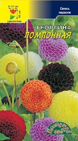 СеменаГеоргина"Помпоннаясмесь"