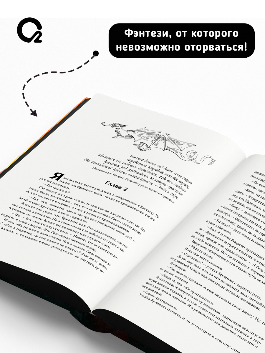 Железное пламя | Iron Flame - Ozon image 3