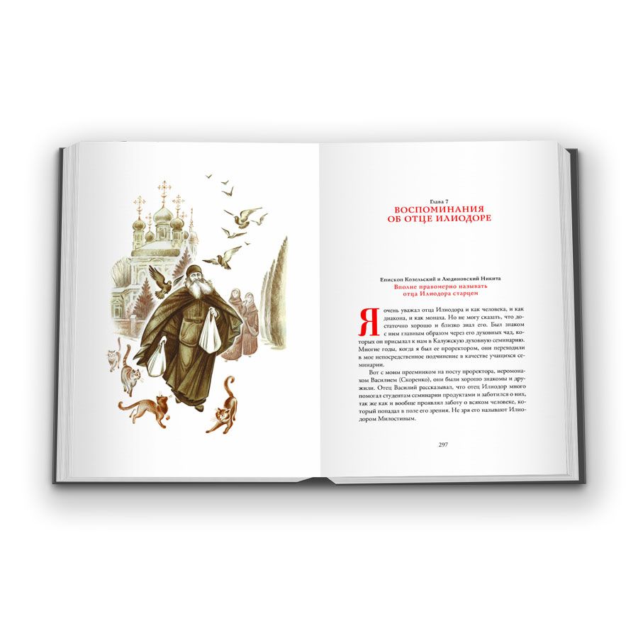 Авва, помолись! Книга воспоминаний об иеродиаконе Илиодоре (Гайриянце) | Pray, Father! A Book of Remembrances about Hierodeacon Ilidore (Gairyanets) - Ozon image 2