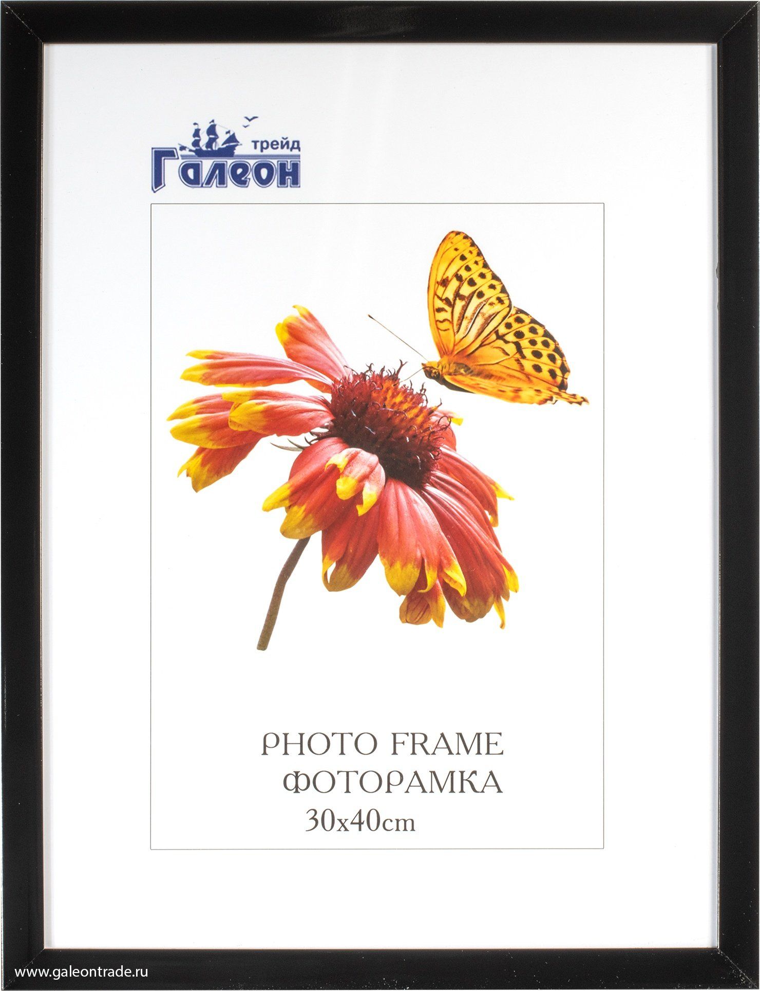 Фоторамка пластиковая 30 х 40 см, черная