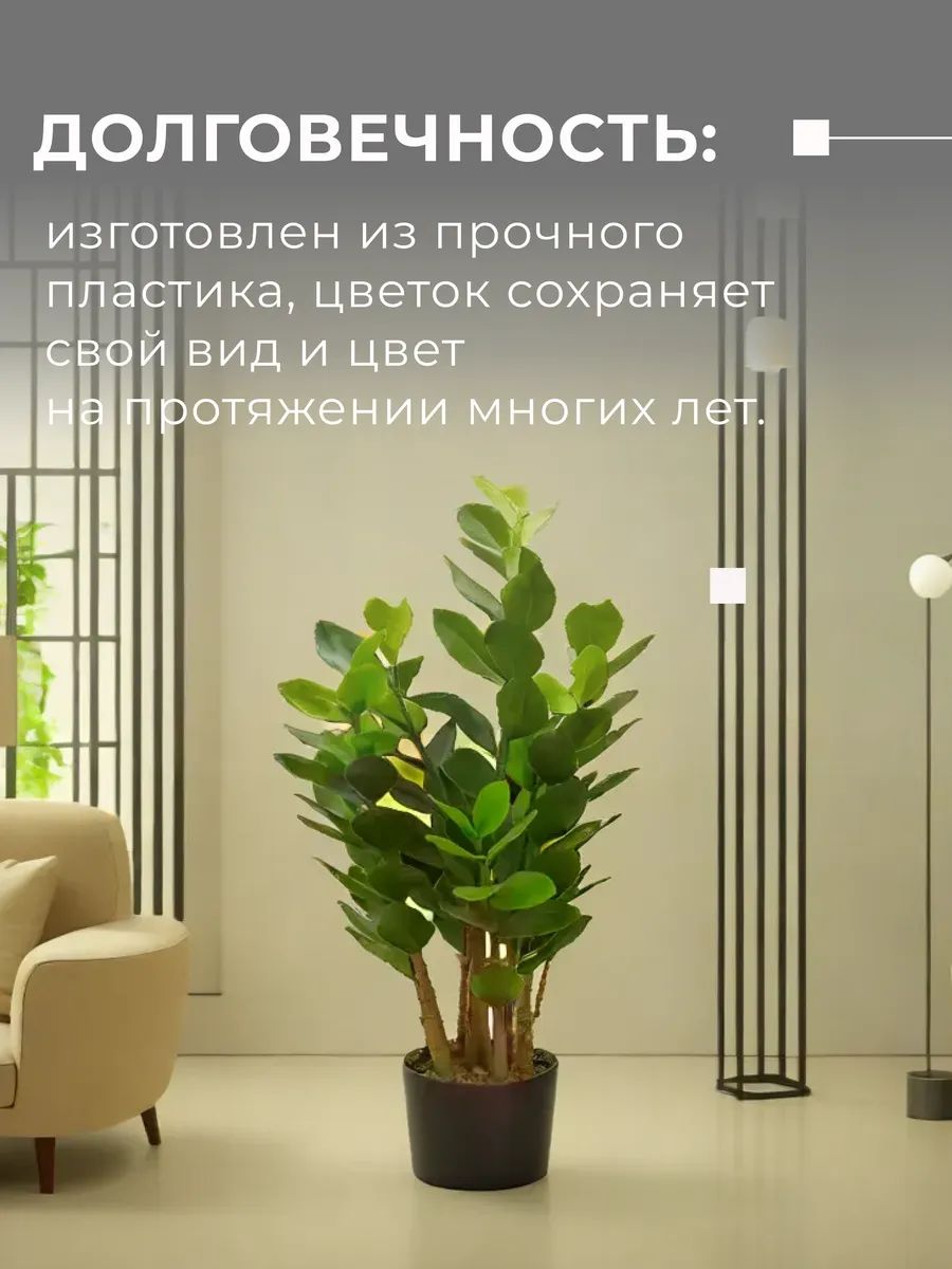 Замиакулькас 90cm Зелёный DS2021-090 Китай