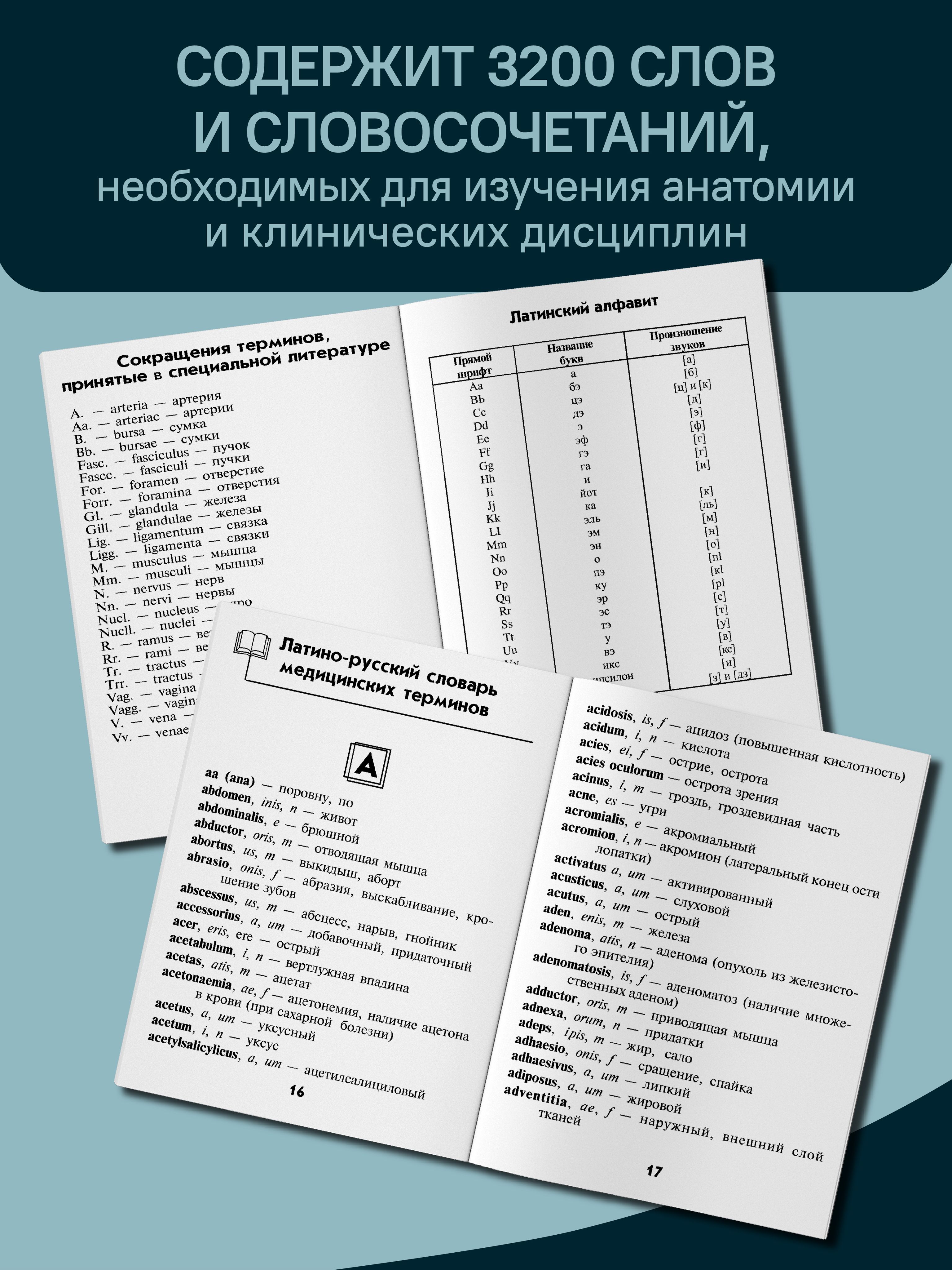 Словарь латинско-русский, русско-латинский для медицинских колледжей | Latin–Russian, Russian–Latin Dictionary for Medical Colleges - Ozon image 3