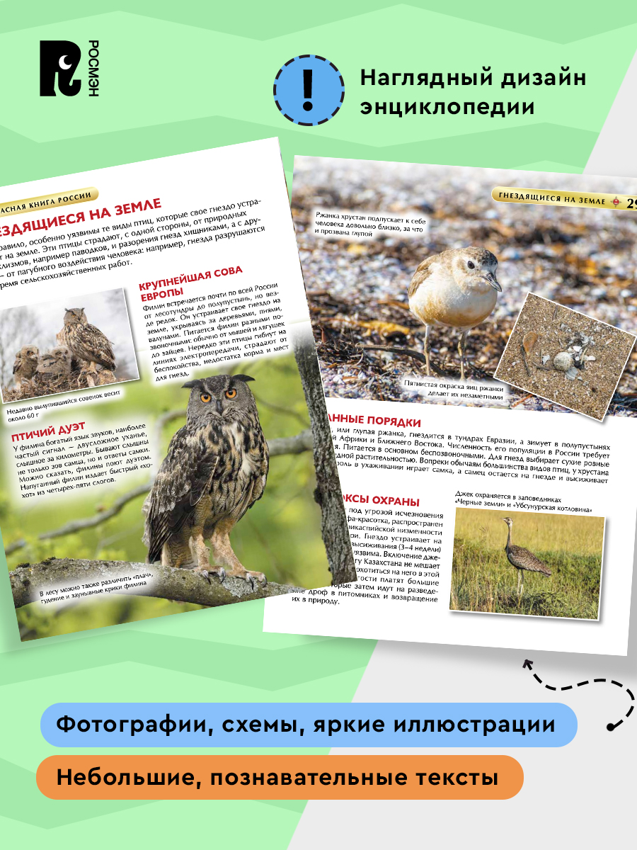 Красная книга России. Детская энциклопедия | The Red Book of Russia. Children's Encyclopedia - Ozon image 3
