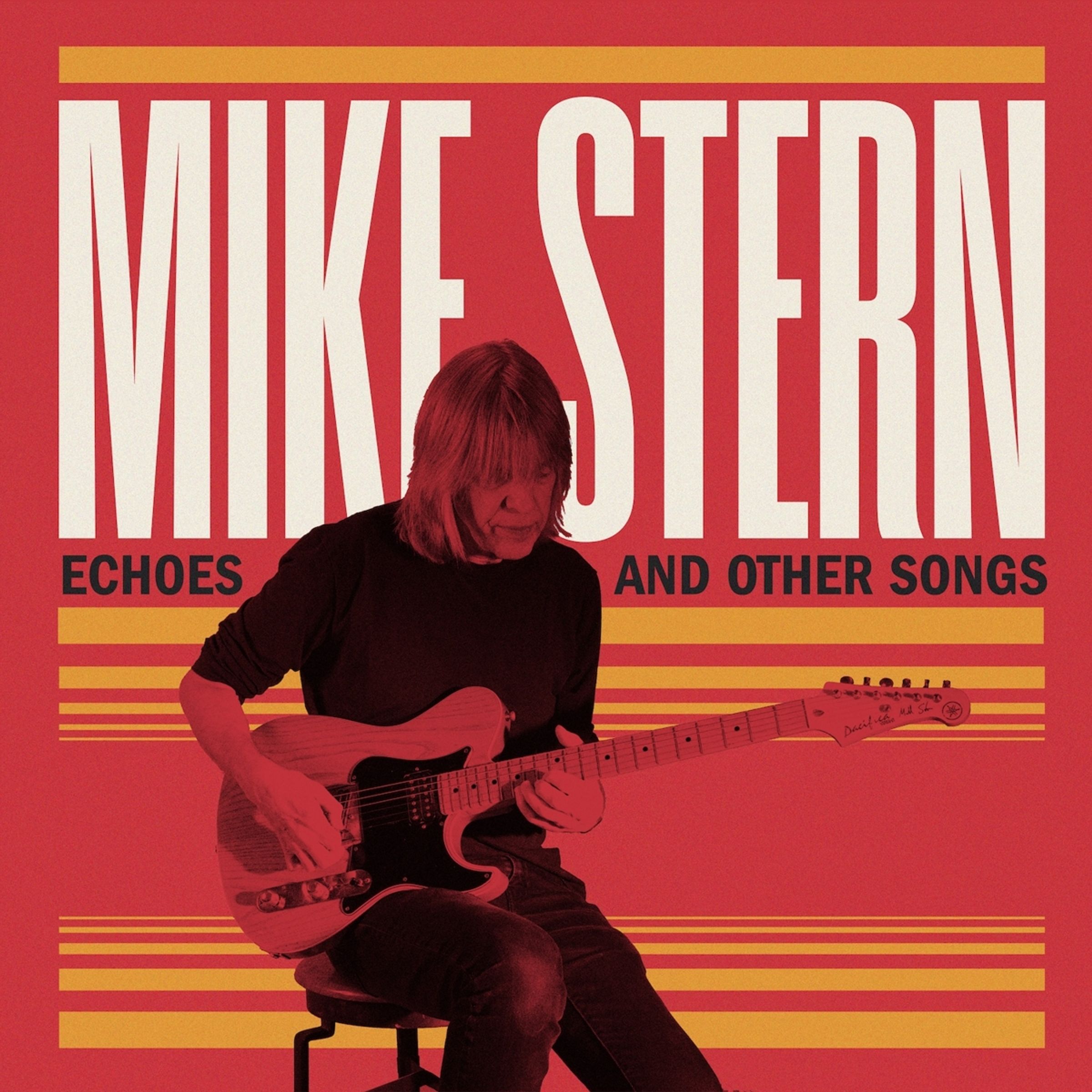 mike stern net worth