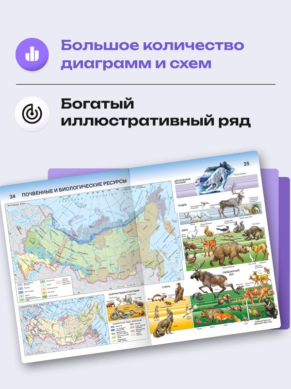 География 8 класс. Атлас и контурные карты 2026 - 2027 года с новыми регионами РФ | Geography 8th Grade Atlas and Contour Maps 2026-2027 - Ozon image 4