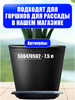 24-5-3-ozon-4095062591