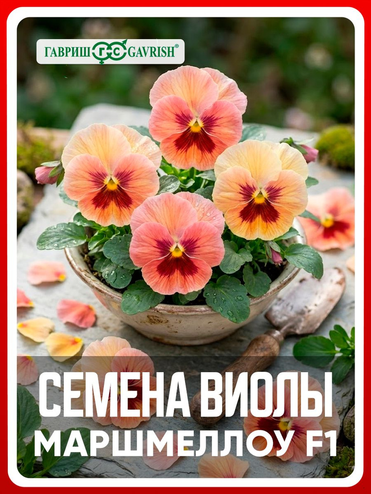 Семена Виола Виттрока "Маршмеллоу F1", 5 шт, Анютины глазки, двулетние цветы для дома, дачи и огорода, #1