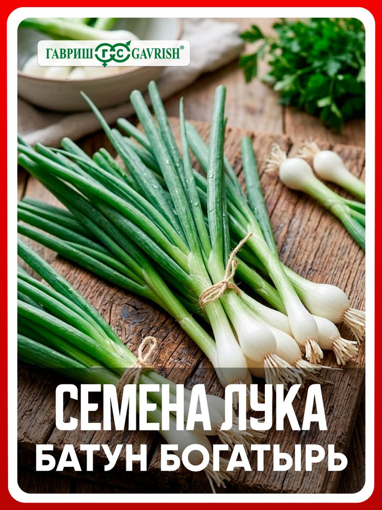 Семена Лук батун "Богатырь" 0,5 гр, зелень для дома, дачи и огорода, в открытый грунт, в контейнер, на #1